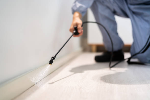 Licensed Termite Control service in Mahaska County County, IA - Nex Pest Control