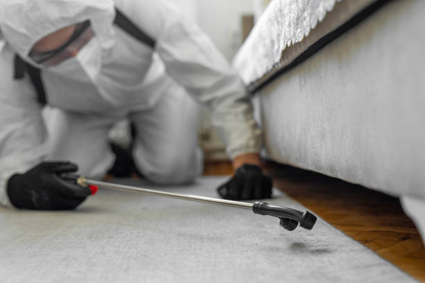 Professional Termite Control technician working in Mahaska County County, IA